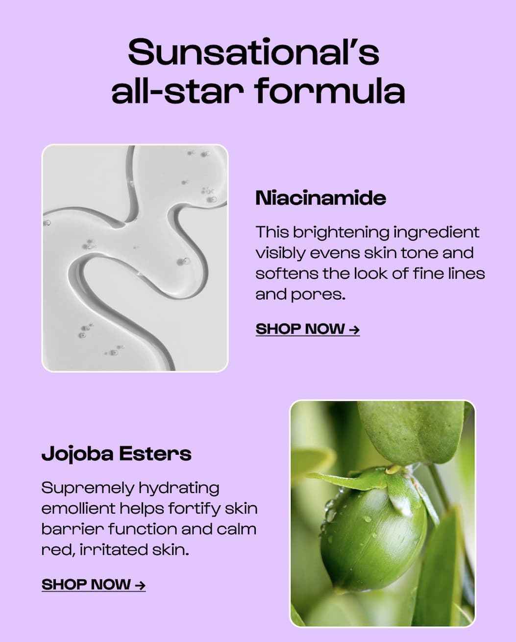 SPF Ingredients