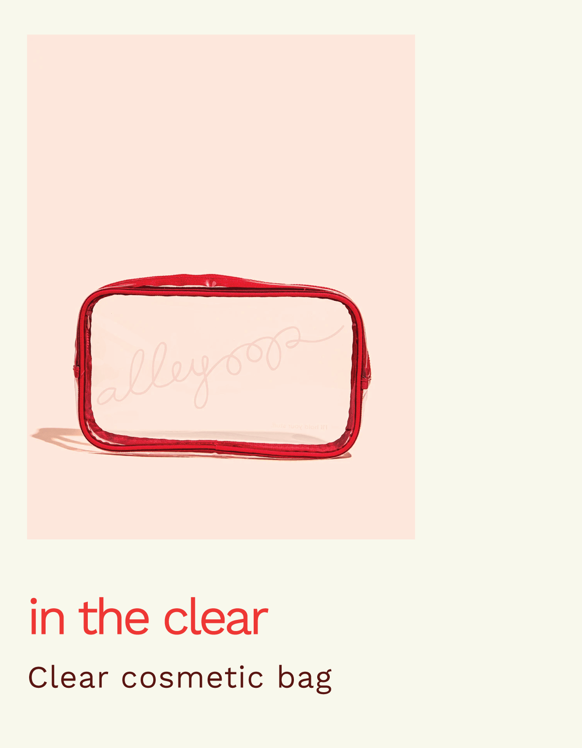 In the Clear. Clear Cosmetic bag.