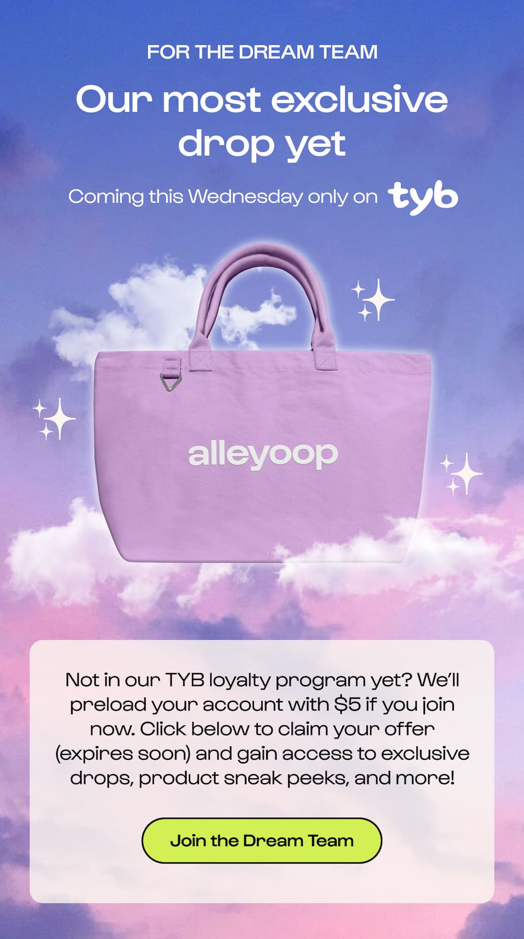 Everything Tote on TYB Teaser