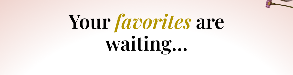 Your favorites are waiting…