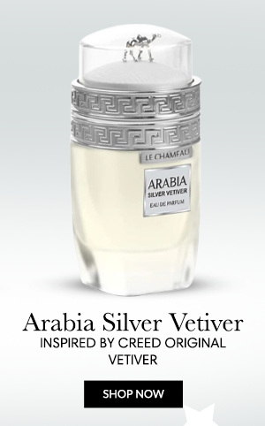 LE CHAMEAU Arabia Silver Vetiver 3.4 oz EDP for men