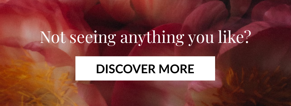 Not seeing anything you like? DISCOVER MORE