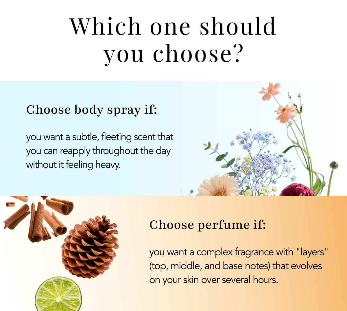 Which one should you choose?