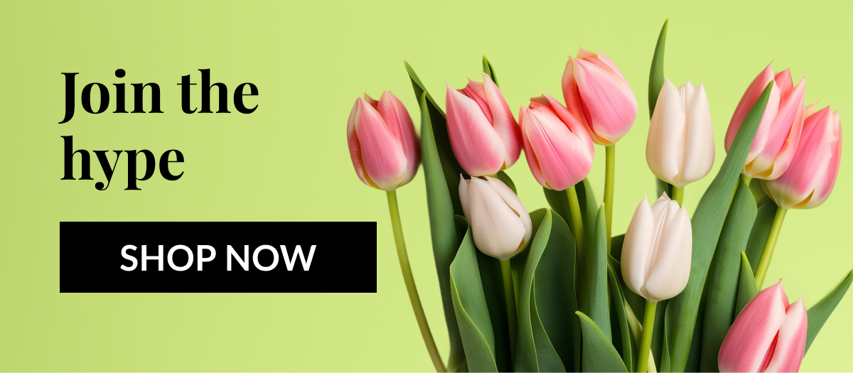 Join the hype - SHOP NOW