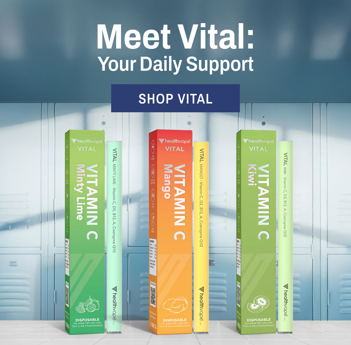Meet Vital: Your Daily Support Shop Vital