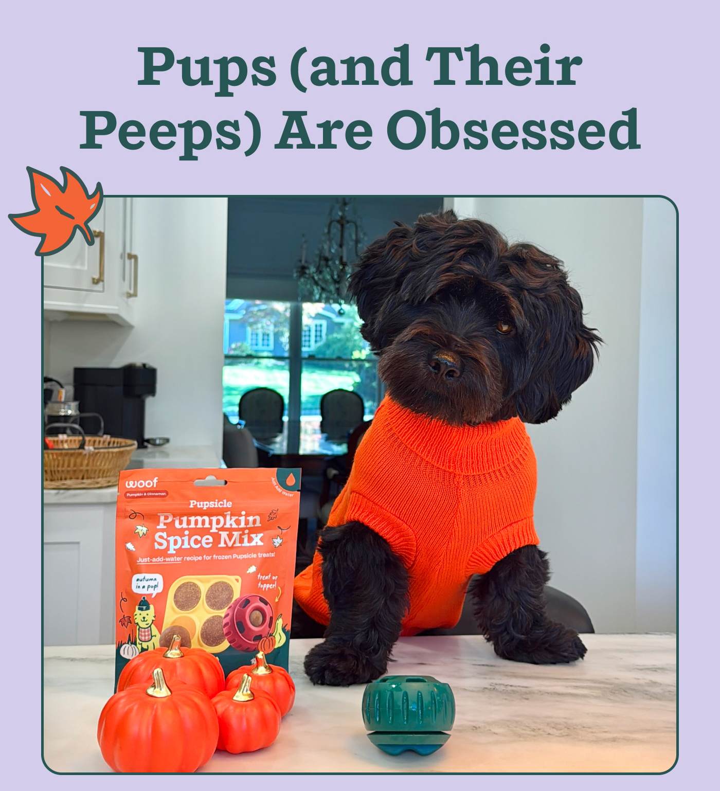 Pups (and Their Peeps) Are Obsessed