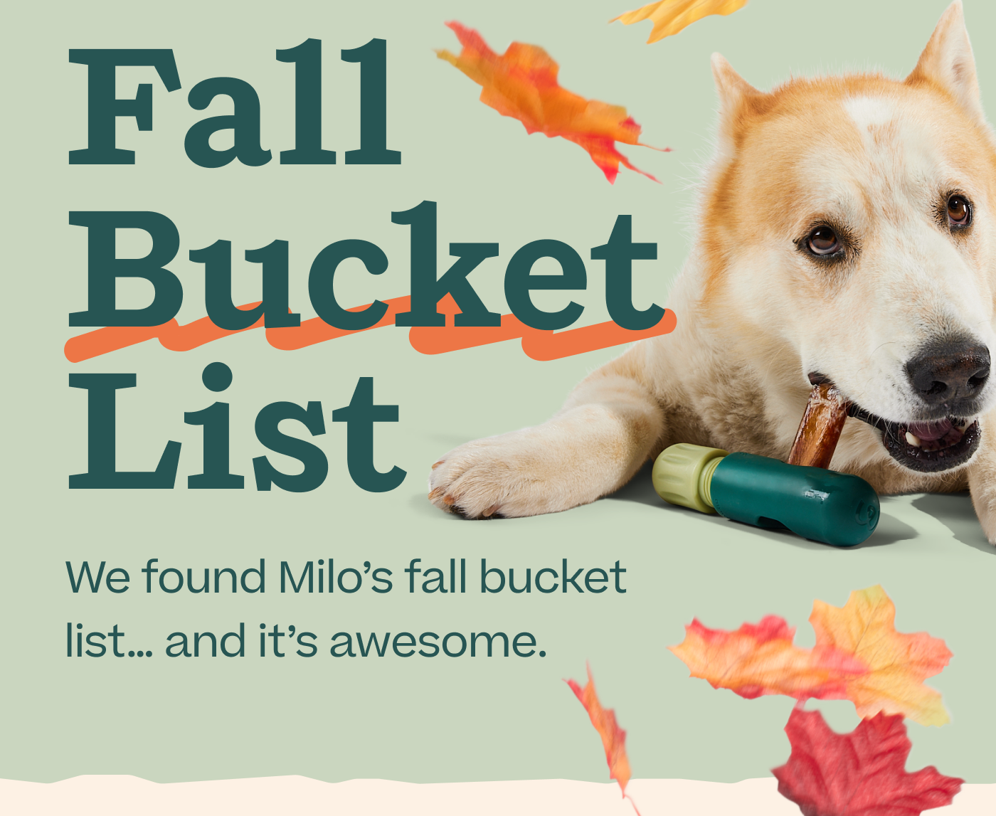 Fall Bucket List. We found Milo's fall bucket list… and it's awesome. 