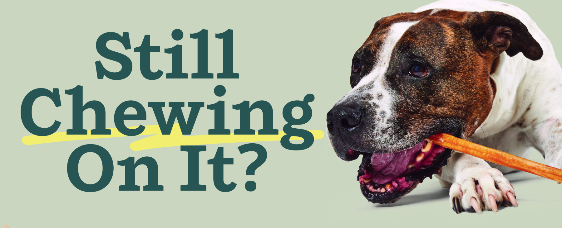 Still chewing on it? 