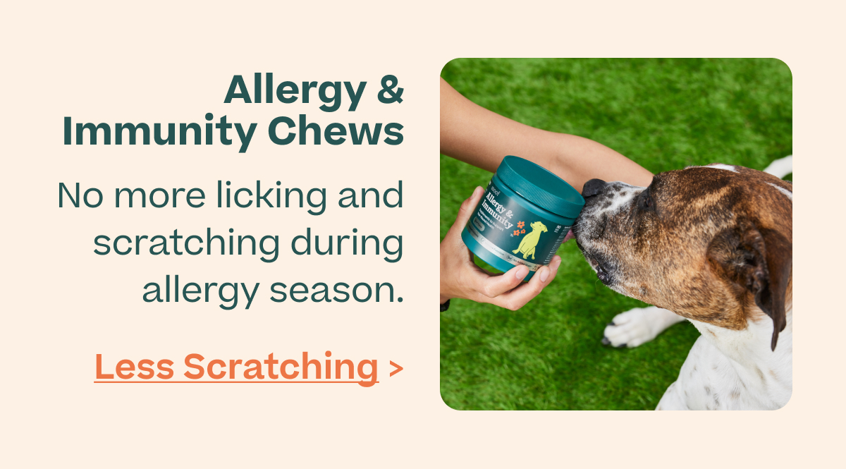 Woof | Allergy & Immunity Chews - Shop Now
