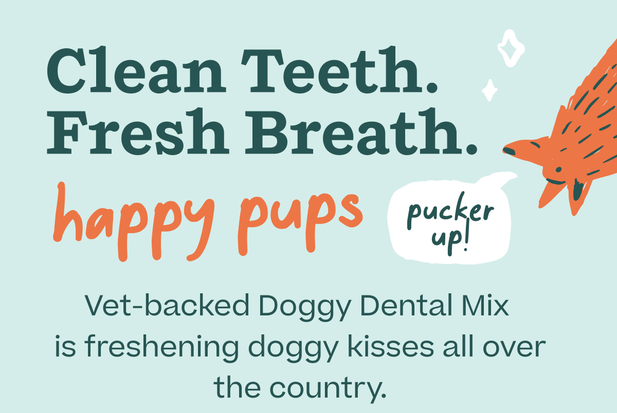 Clean Teeth. Fresh Breath. happy pups. "pucker up!"  Vet-backed Doggy Dental Mix is freshening doggy kisses all over the country.