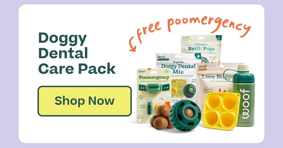 Doggy Dental Care Pack  |  Shop Now