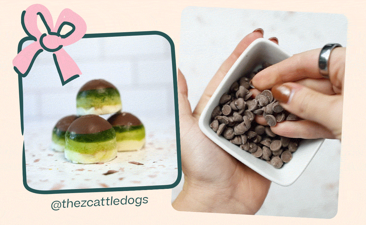 Woof | Holiday Pop Recipe - Peppermint Carob Pops