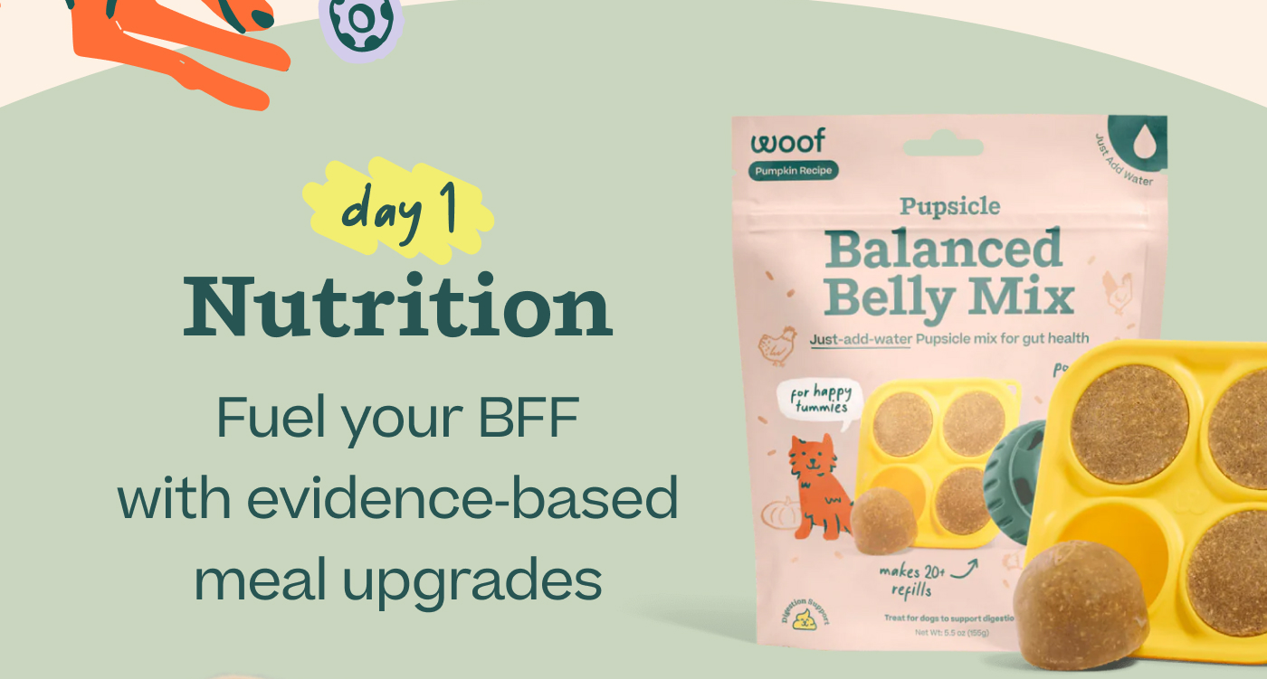 Day 1 — Nutrition: Fuel your BFF with evidence‑based meal upgrades