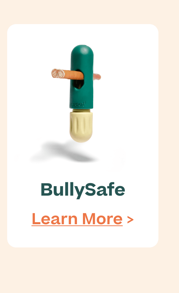 BullySafe