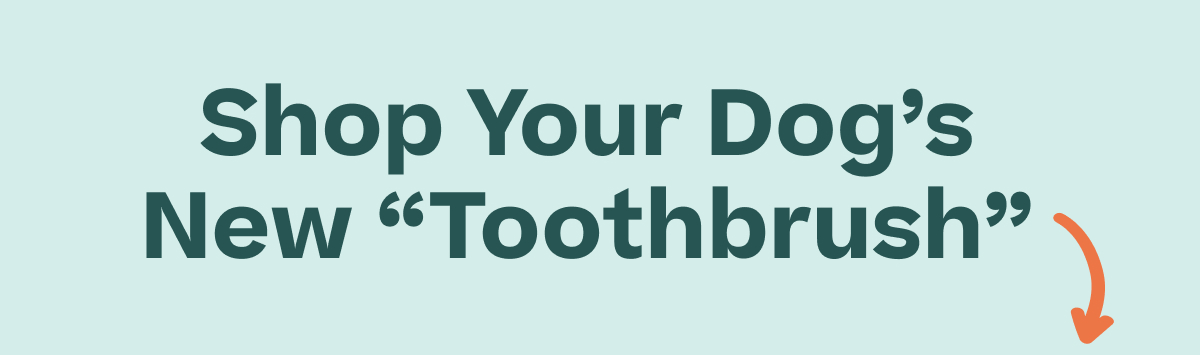 Shop Your Dog's New "Toothbrush"