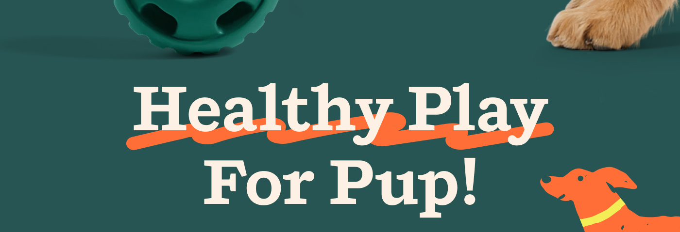Healthy Play for Pup!