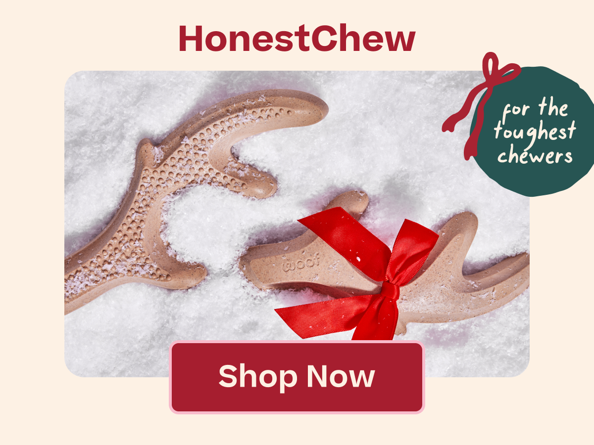 HonestChew | Shop Now