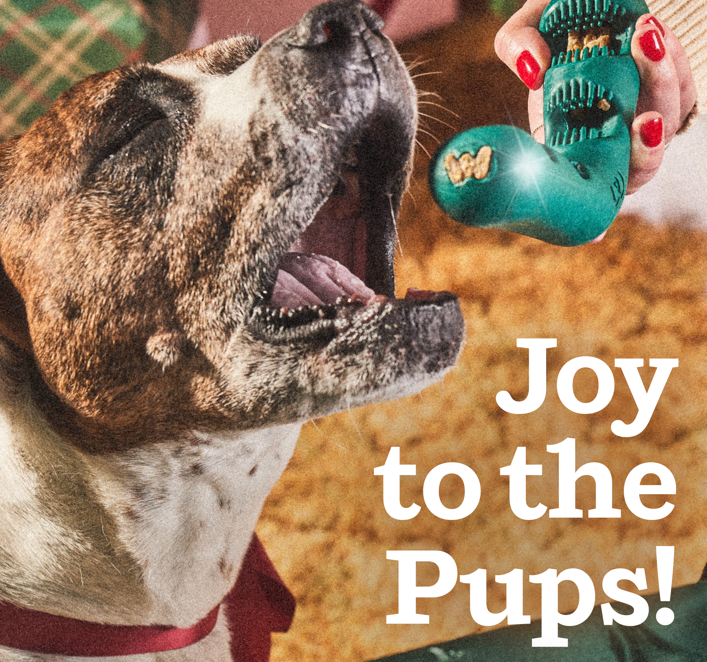Joy to the Pups. 