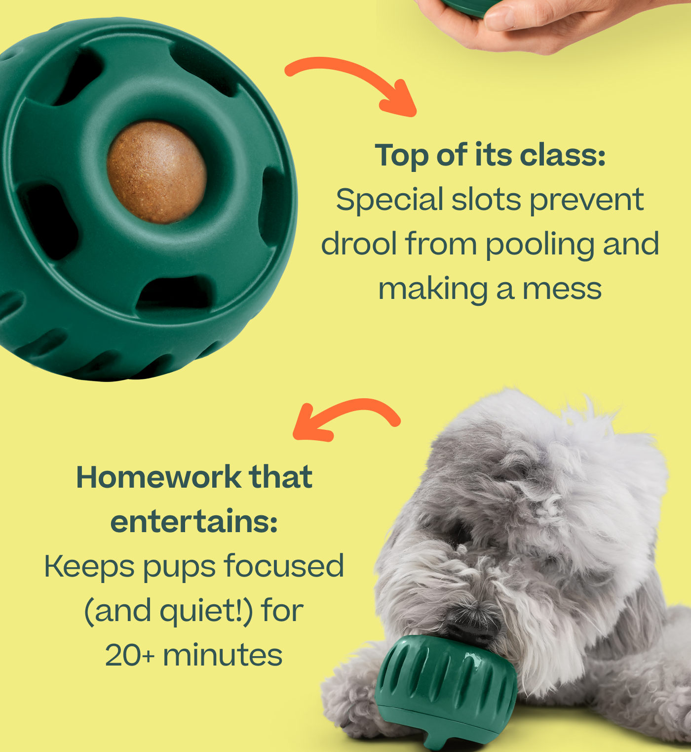Top of its class: Special slots prevent drool from pooling and making a mess.  Homework that entertains: Keeps pups focused (and quiet!) for 20+ minutes.