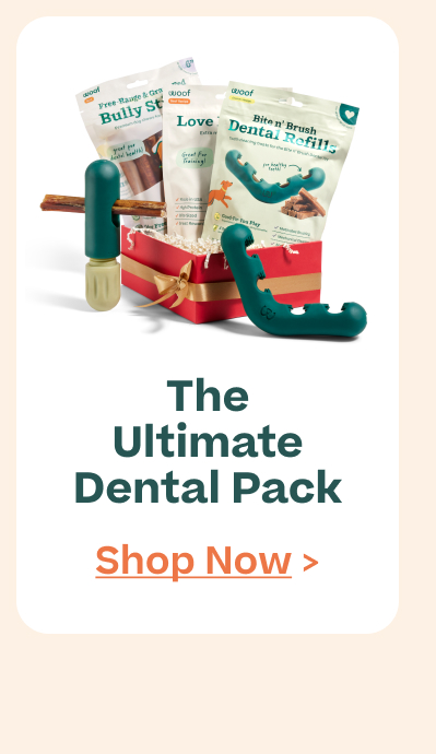 The Woof Gift Shop | The Ultimate Dental Pack