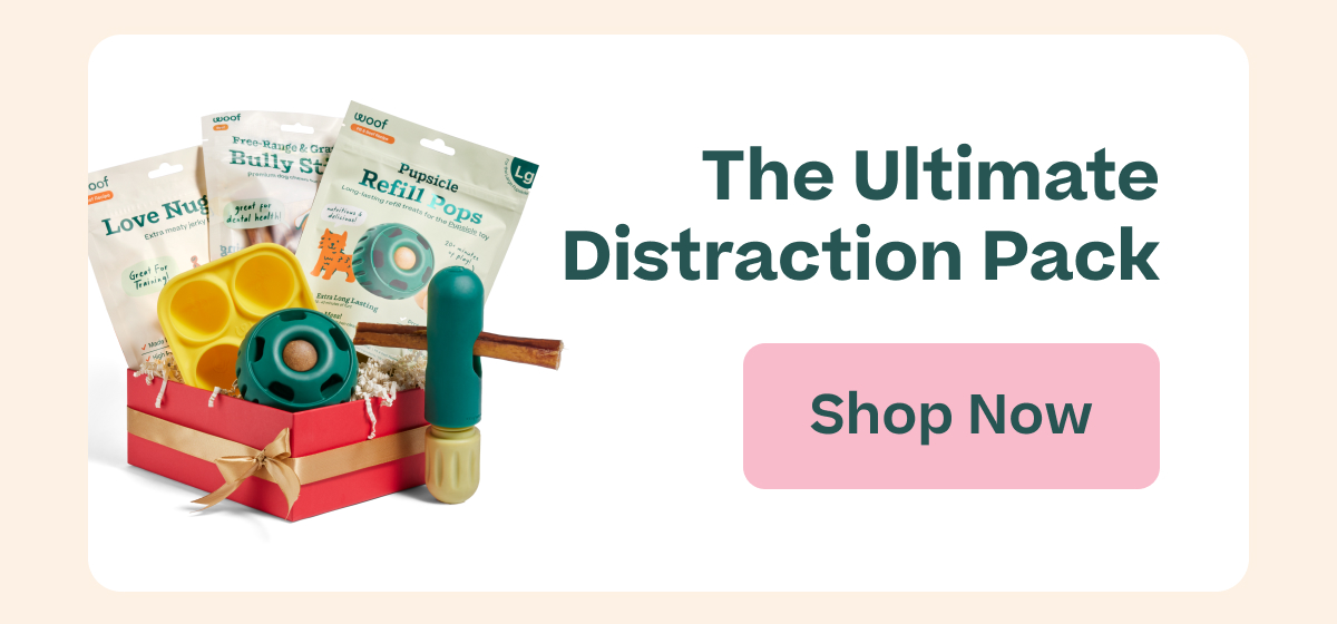 Woof | Our Small Business - Shop the Ultimate Distraction Pack