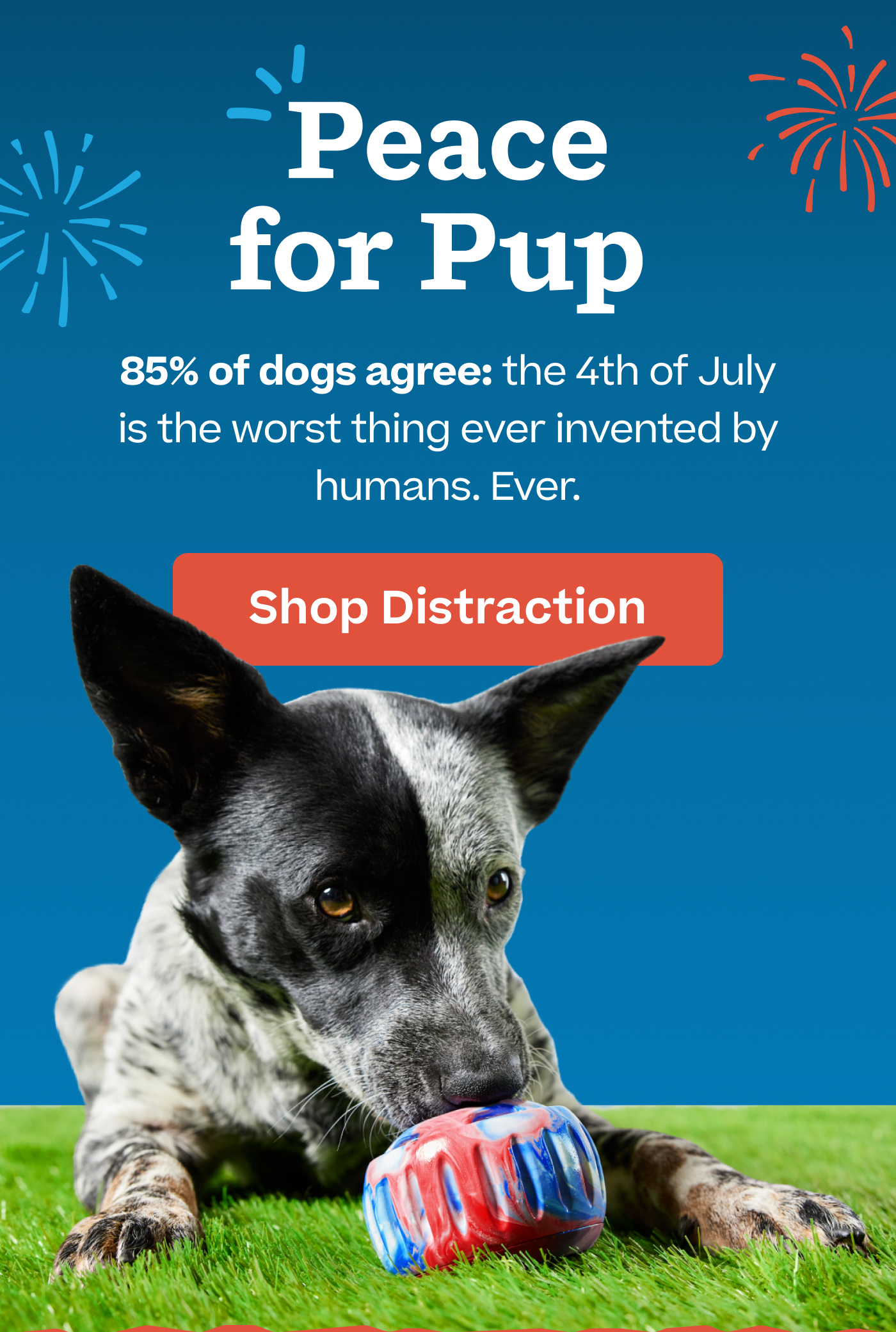 Peace for Pup.  85% of dogs agree: the 4th of July is the worst thing ever invented by humans. Ever.   |  Shop Distraction