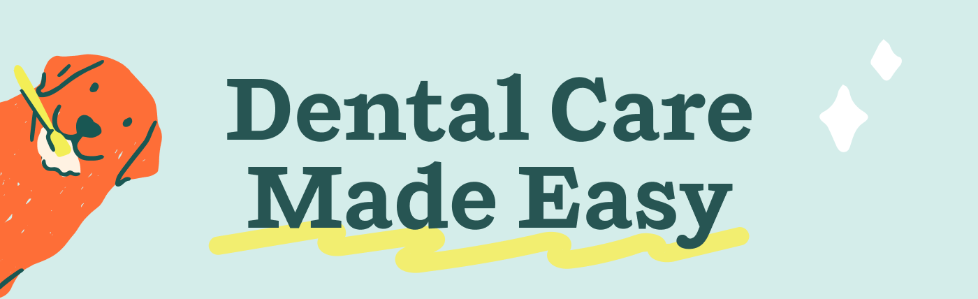 Dental Care Made Easy