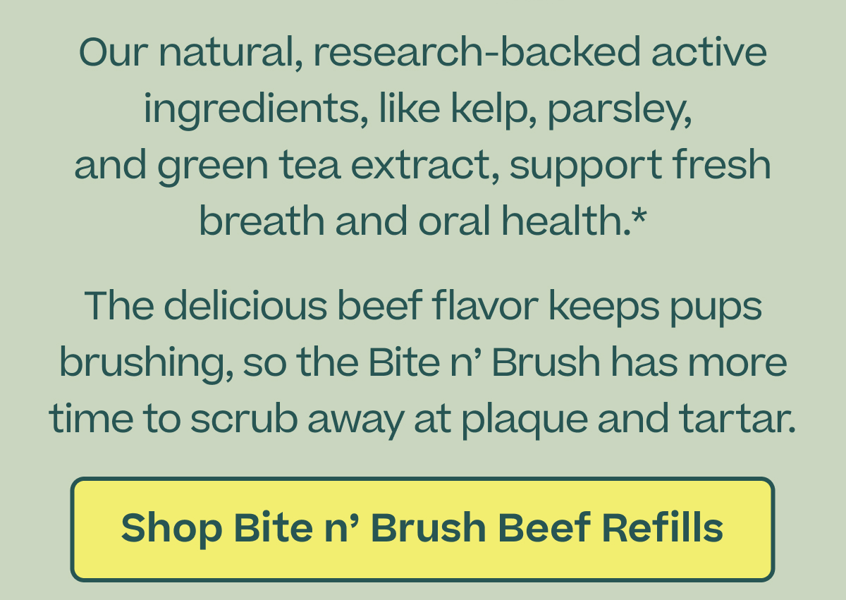Our natural, research-backed active ingredients, like kelp, parsley, and green tea extract, support fresh breath and oral health.  |  The delicious beef flavor keeps pups brushing, so the Bite n' Brush has more time to scrub away at plaque and tartar.  |   Shop Bite n' Brush Beef Refills