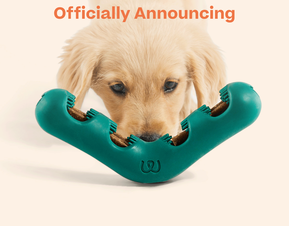 Woof | Officially Announcing Bite n' Brush