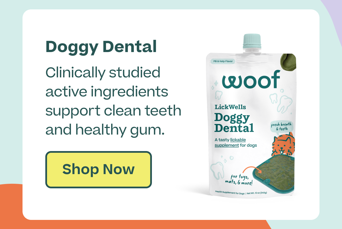 Doggy Dental: clinically studied active active ingredients support clean teeth and healthy gum | Shop Now