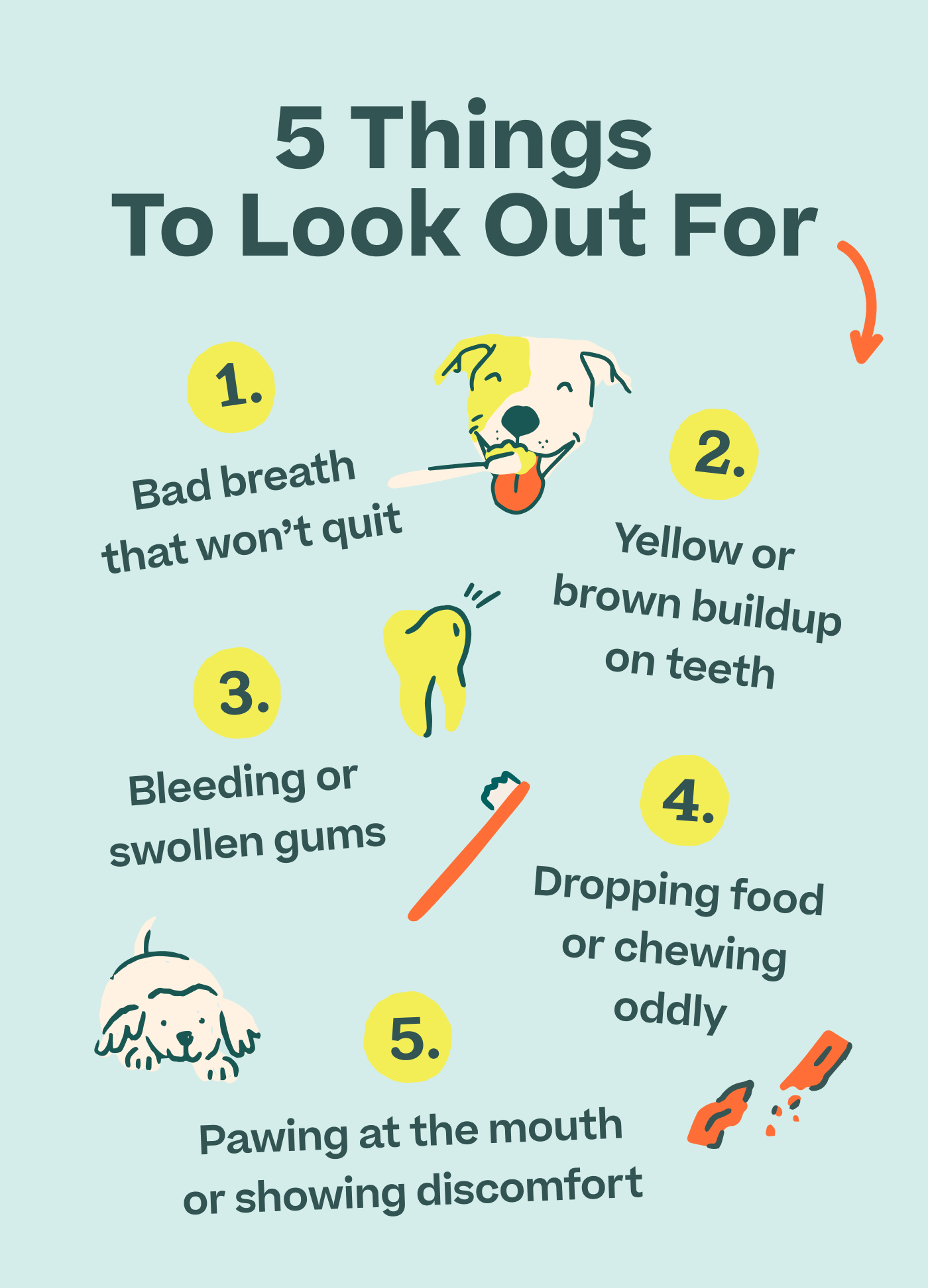 5 Things To Look Out For:  1. Bad breath that won't quit 2. Yellow or brown buildup on teeth 3. Bleeding or swollen gums 4. Dropping food or chewing oddly 5. Pawing at the mouth or showing discomfort