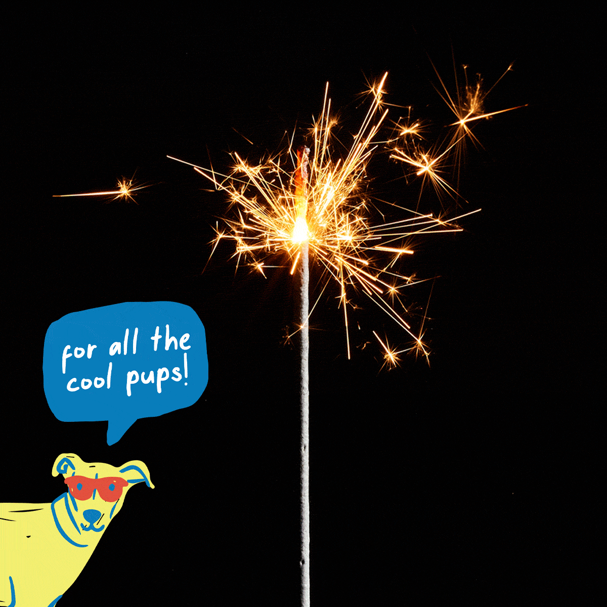 "for all the cool pups!"