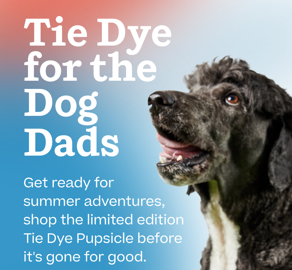 Tie Dye for the Dog Dads.  Get ready for summer adventures, shop the limited edition Tie Dye Pupsicle before it's gone for good.