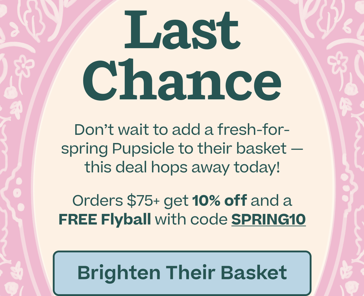 Last Chance! Don't wait to add a fresh-for-spring Pupsicle to their basket —this deal hops away today! Orders $75+ get 10% off and a FREE Flyball with code SPRING10 | Shop Now
