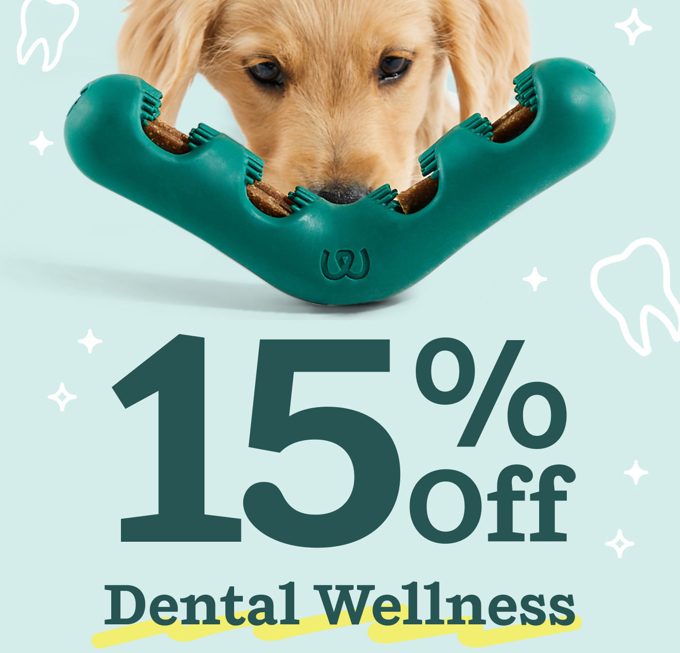 15% Off Dental Wellness