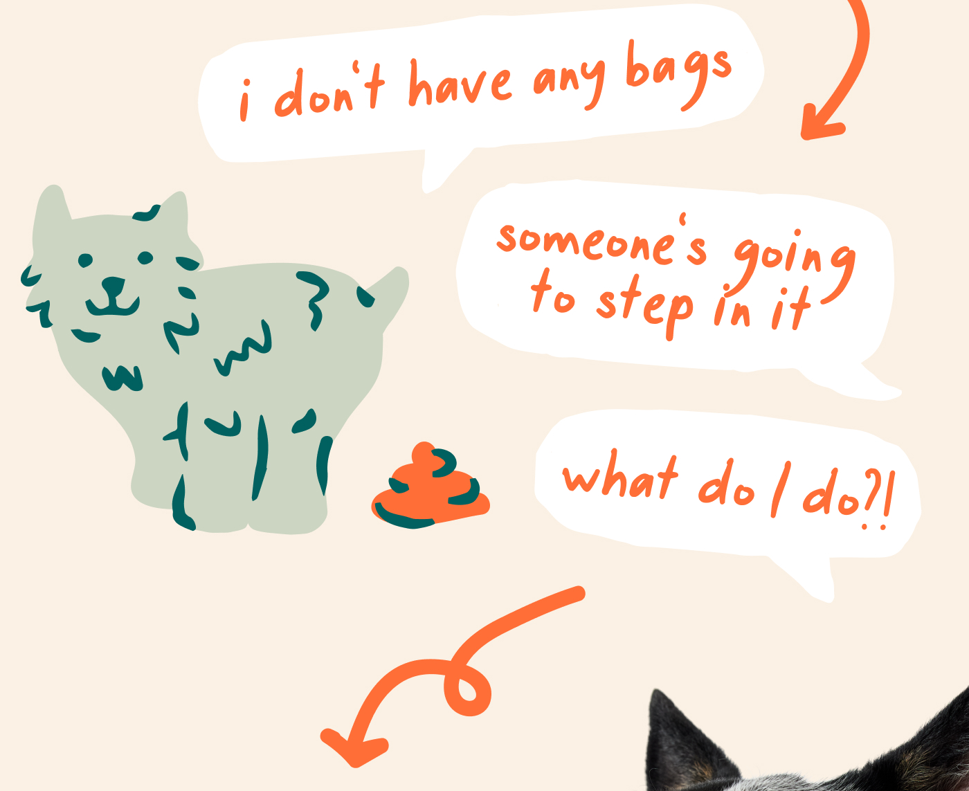 I don't have any bags.  Someone's going to step in it.  What do I do?!