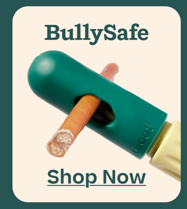 The BullySafe | Shop Now