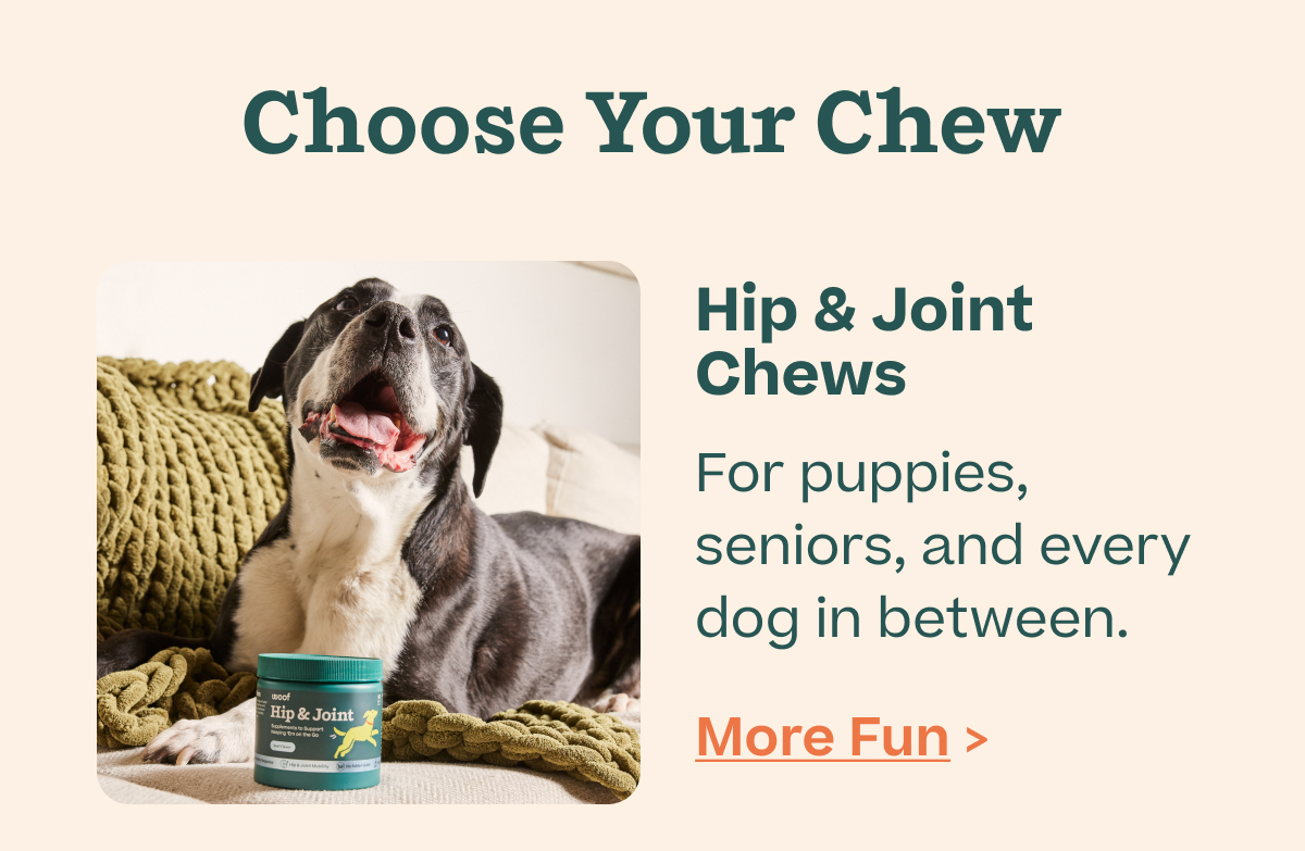 Woof | Hip & Joint Chews - Shop Now