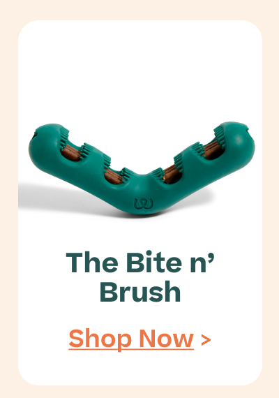 The Woof Gift Shop | Bite n' Brush