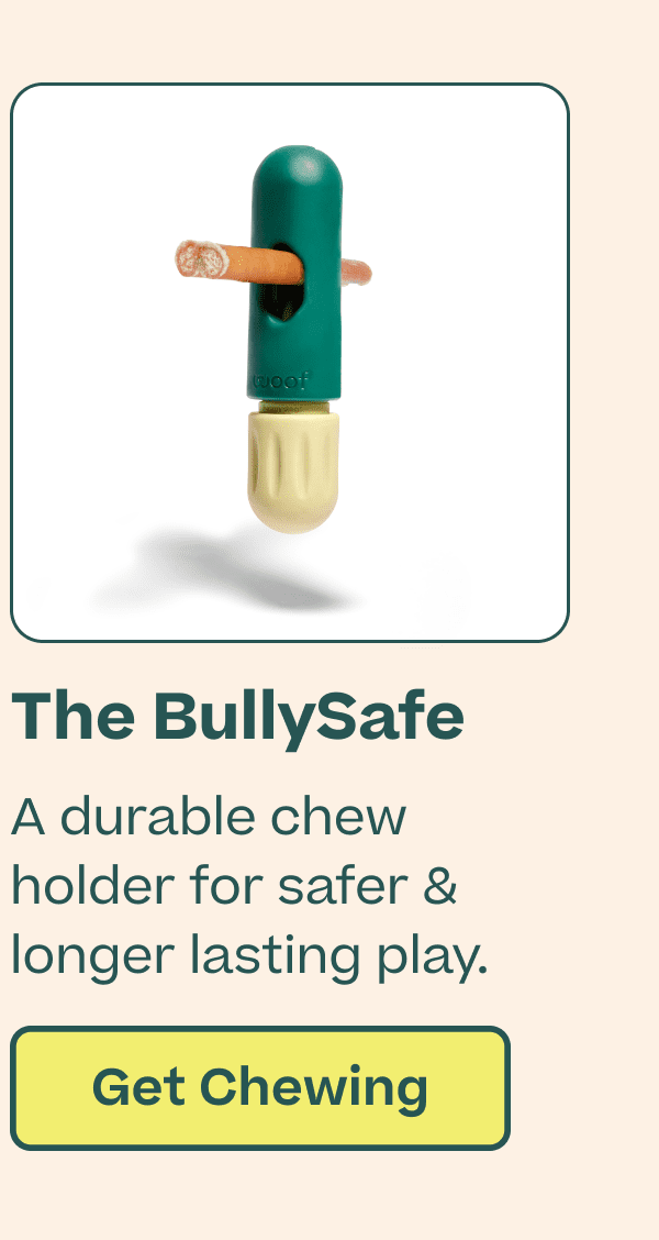 the bullysafe