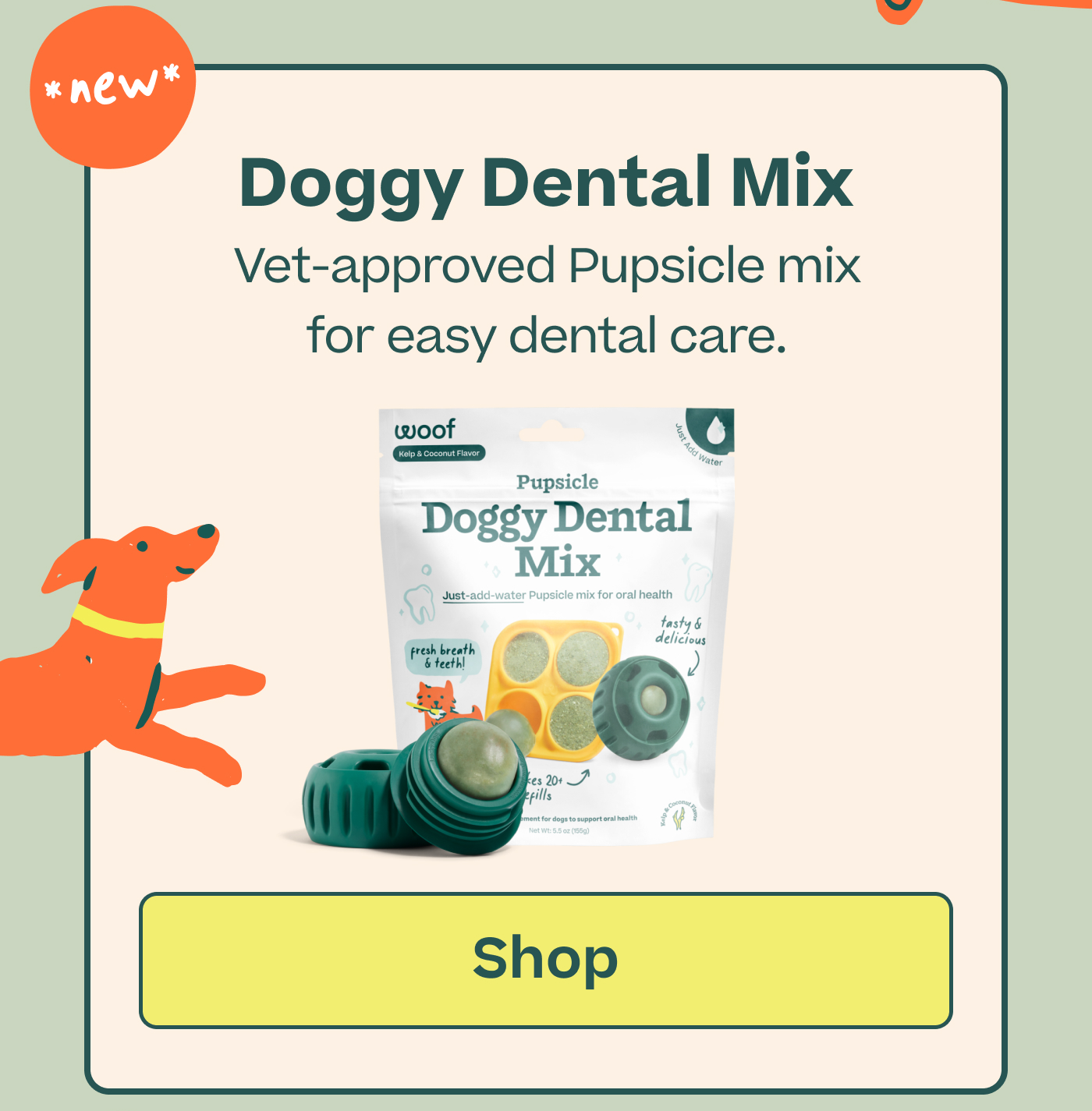 *New* Doggy Dental Mix. Vet-approved Pupsicle mix for easy dental care.  |  Shop