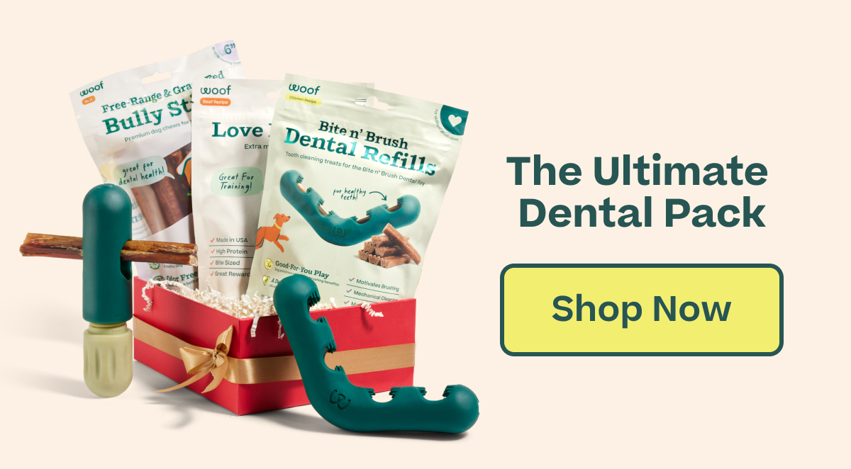Woof x Fi Favs | The Ultimate Dental Pack - Shop Now