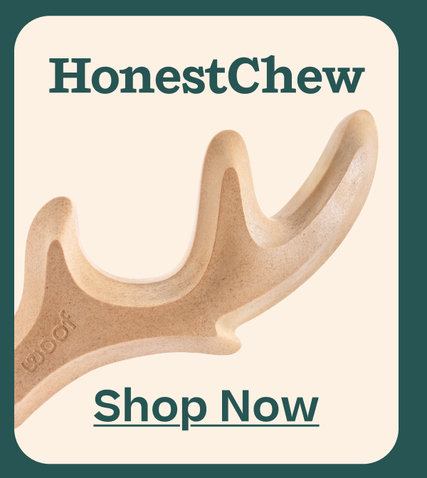 HonestChew | Shop Now