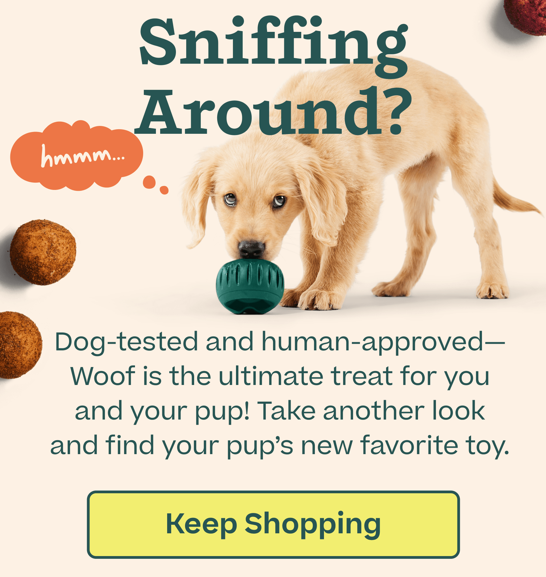 Sniffing around? Take another look and find your pup's new favorite toy