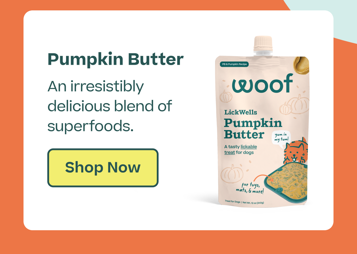 Pumpkin Butter: an irresistibly delicious blend of superfoods | Shop Now