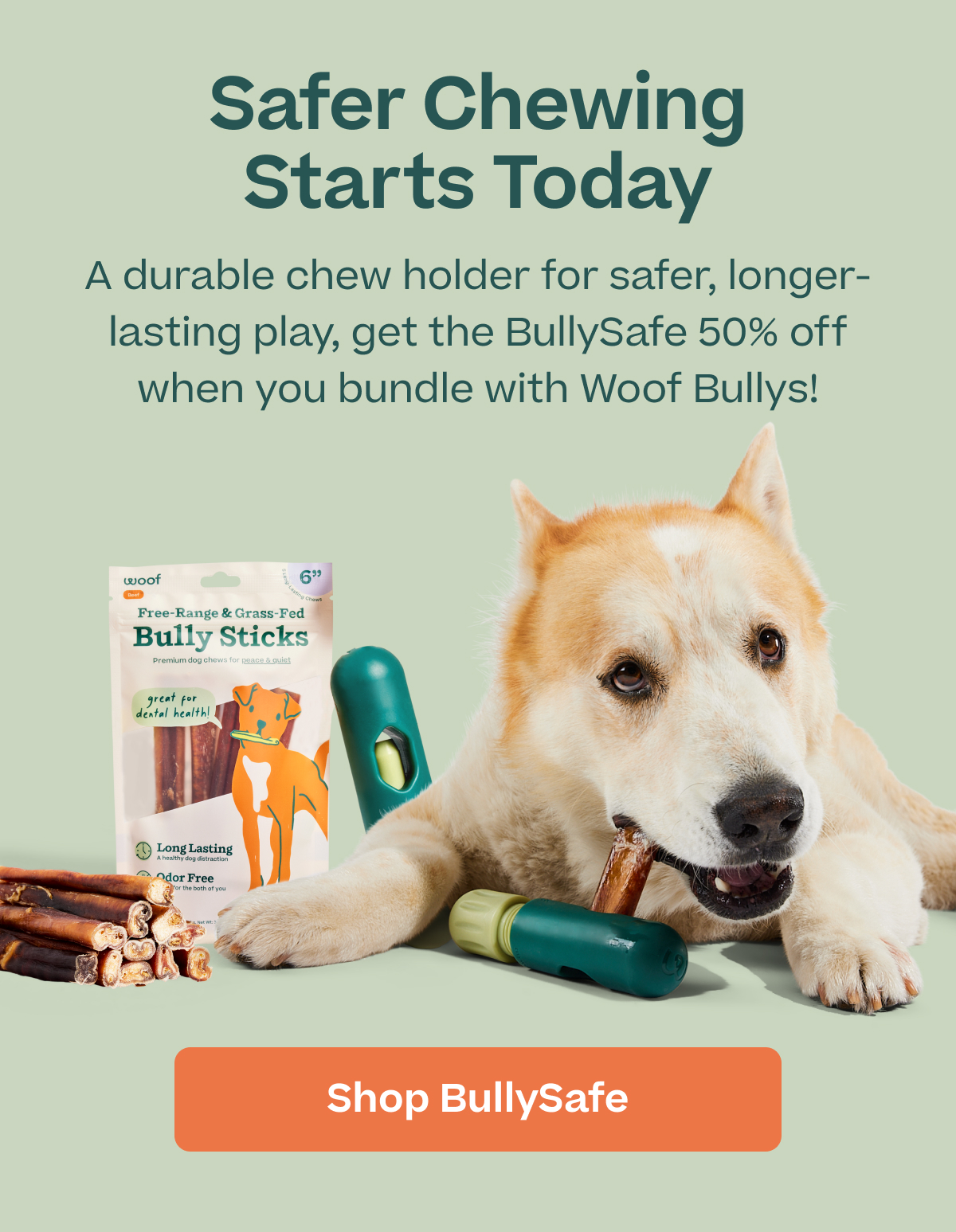 Woof | Safer Chewing Starts Today