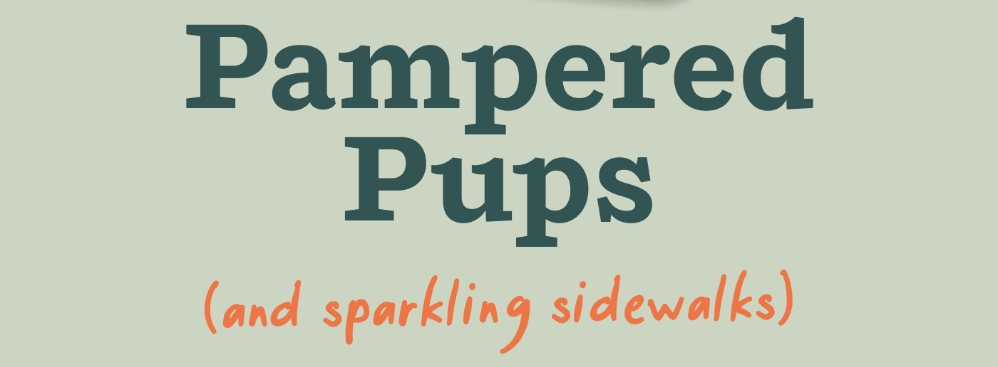 Pampered Pups (And sparkling sidewalks.)