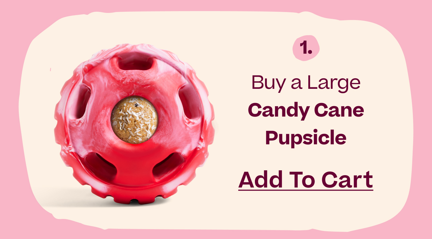 1. Buy a Large Candy Cane Pupsicle  |  Add to Cart