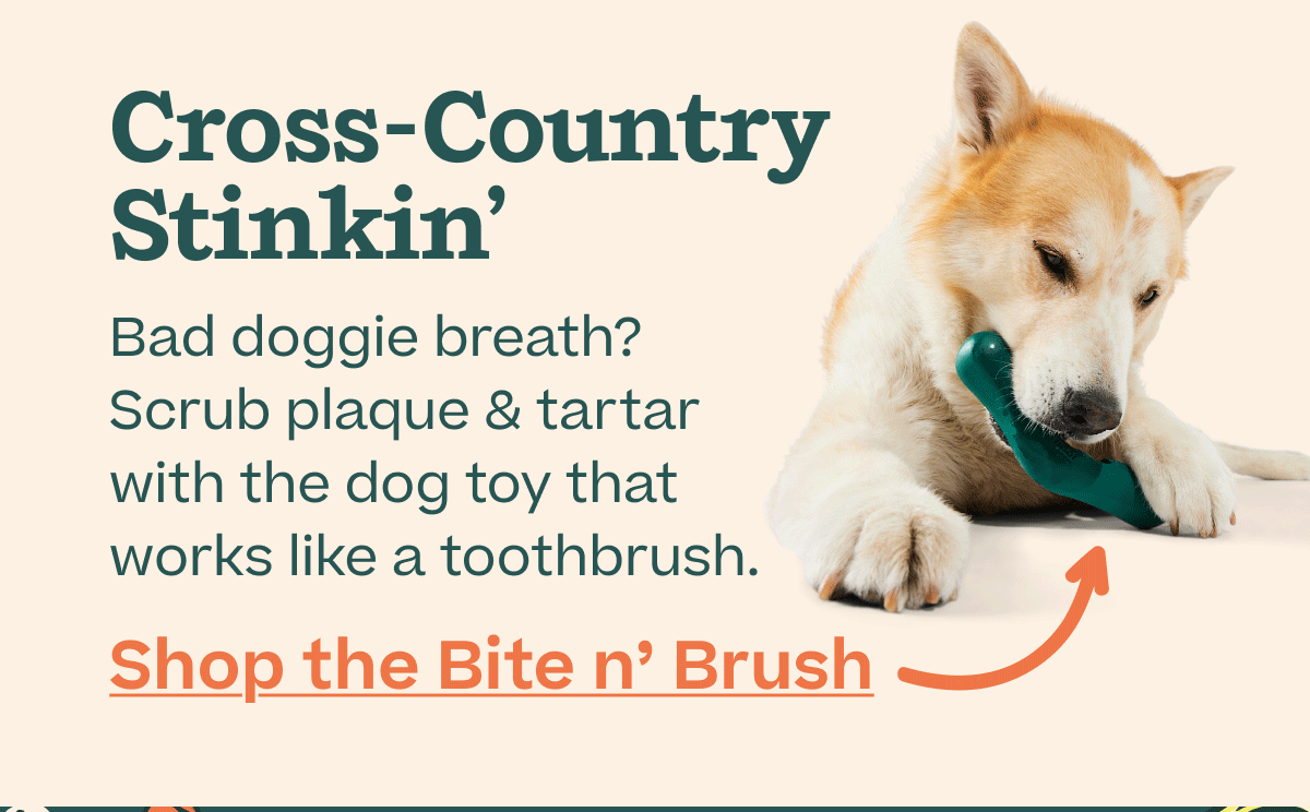 Cross-Country Stinkin' | Bad doggie breath? Scrub plaque & tartar with the dog toy that works like a toothbrush | Shop Bite n' Brush