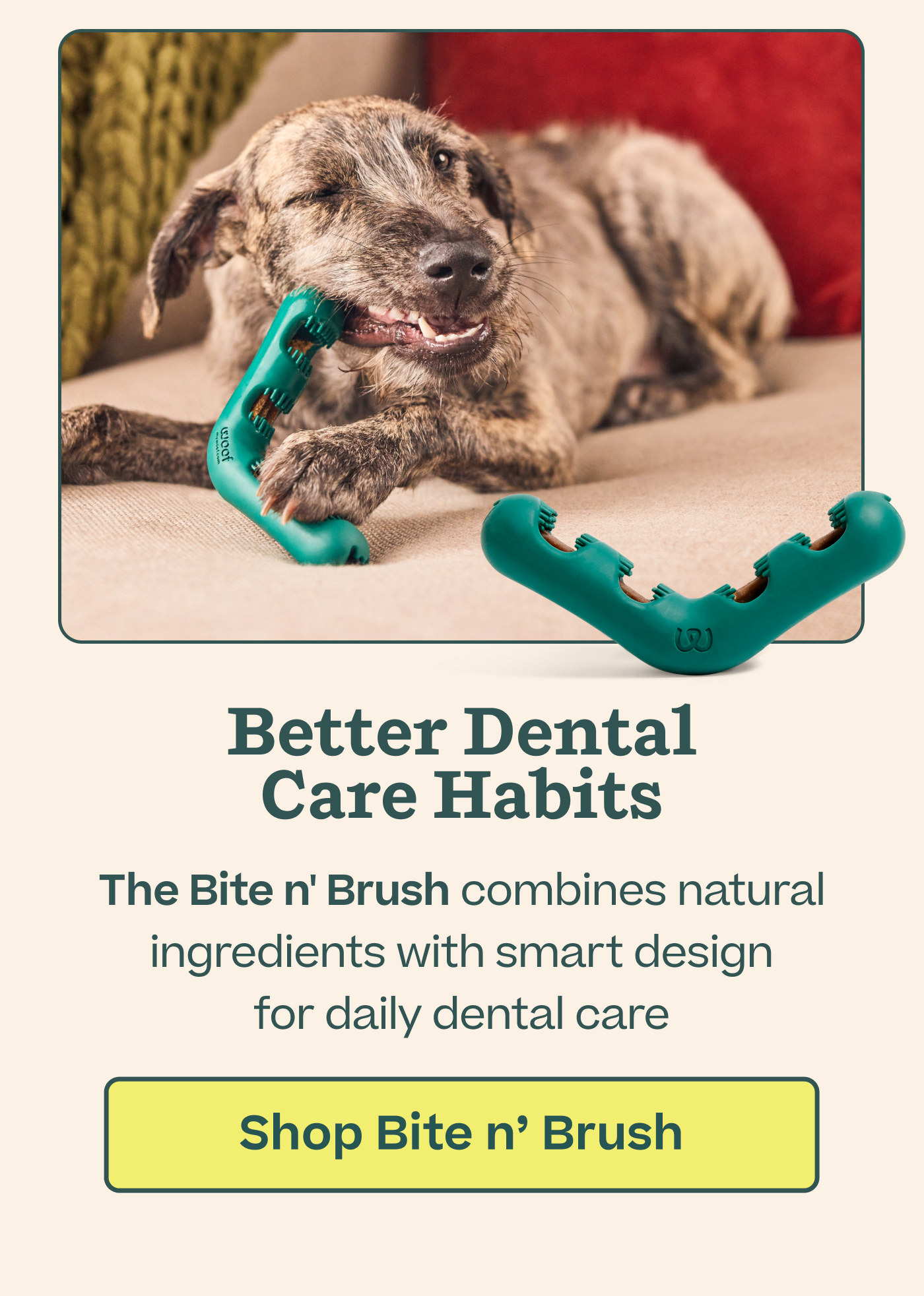 Better Dental Care Habits The Bite N' Brush combines natural ingredients with smart design for daily dental care  |  Shop Bite N' Brush